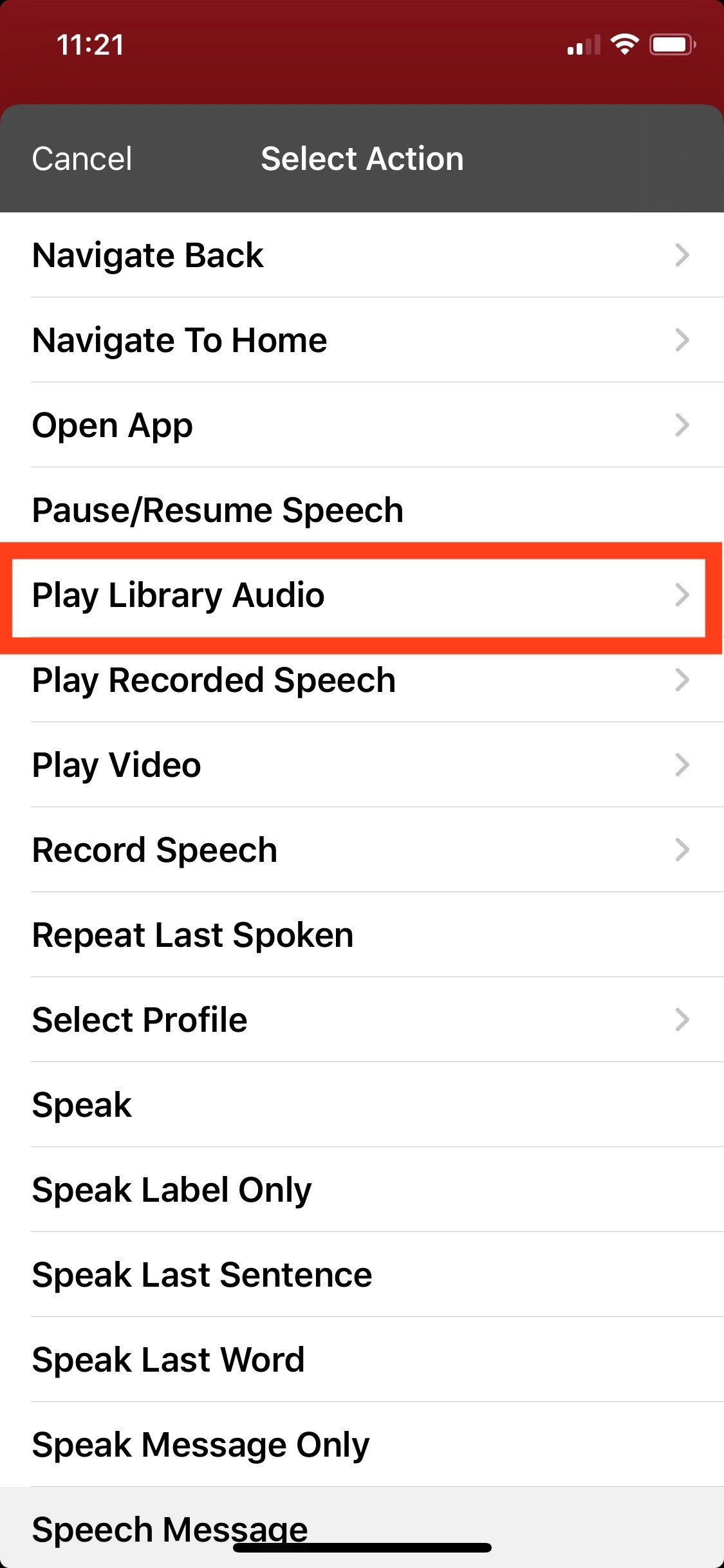 Play Library Audio